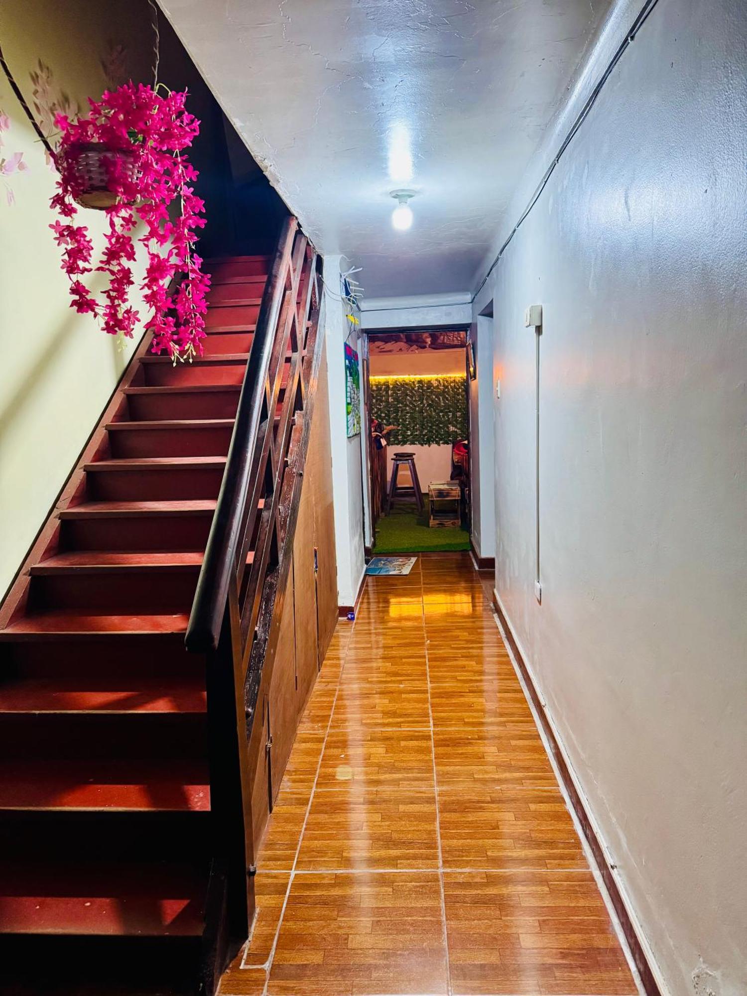 Ukumari Hostel Cusco Ngoại thất bức ảnh
