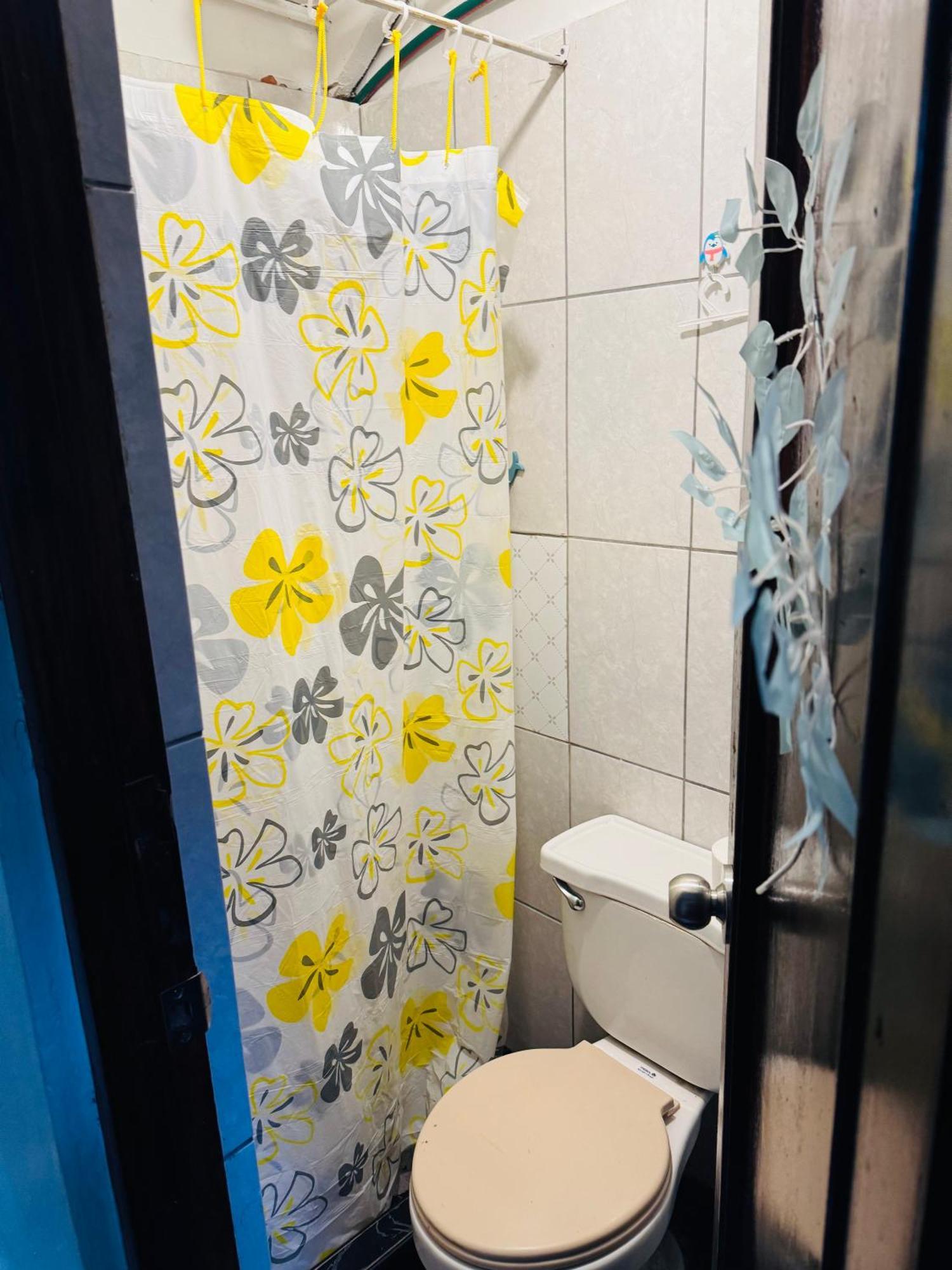 Ukumari Hostel Cusco Ngoại thất bức ảnh