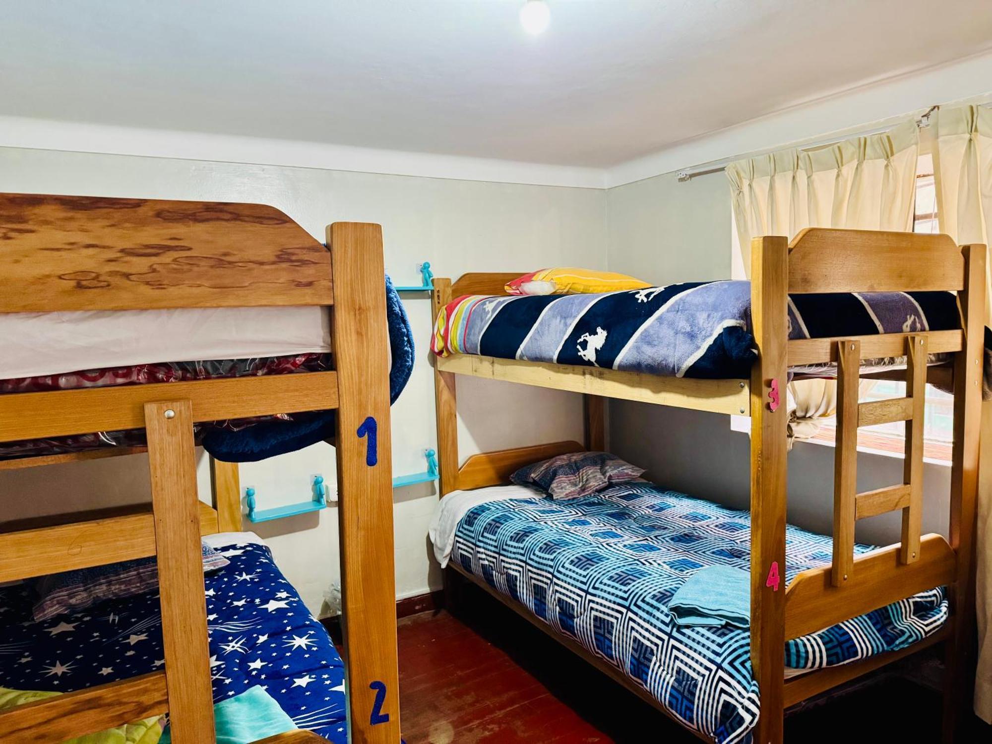 Ukumari Hostel Cusco Ngoại thất bức ảnh